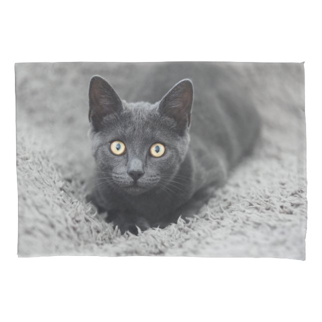 Cutest Baby Animals | Grey Cat Pillowcase (Front)
