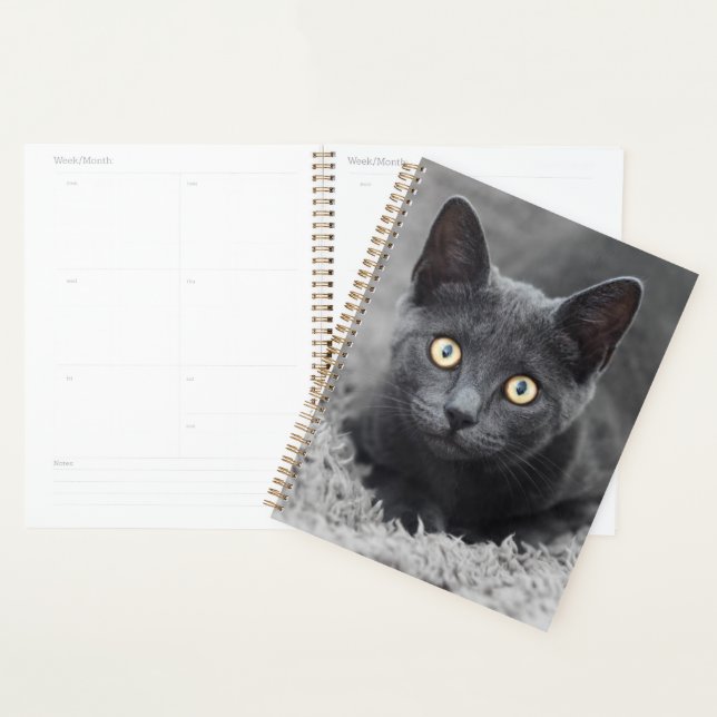 Cutest Baby Animals | Grey Cat Planner (Display)