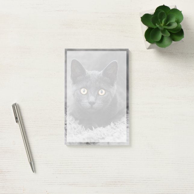 Cutest Baby Animals | Grey Cat Post-it Notes (Office)
