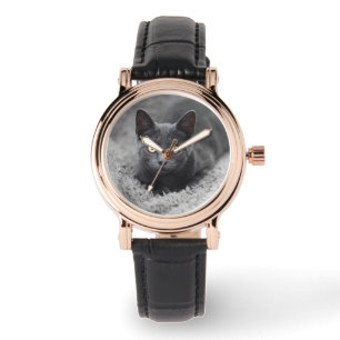 Cutest Baby Animals   Grey Cat Watch