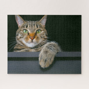 Cutest Baby Animals   Grey Tabby Cat Face Jigsaw Puzzle