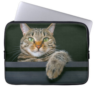 Cutest Baby Animals Grey Tabby Cat Face Laptop Sleeve