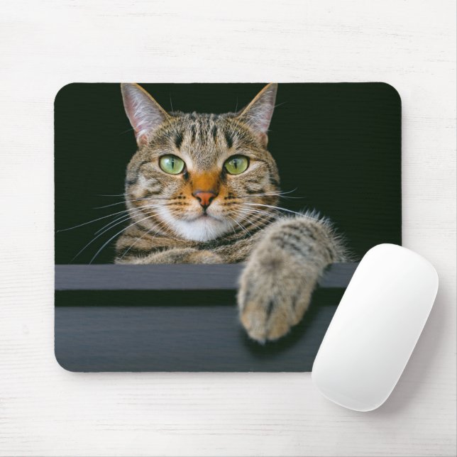 Cutest Baby Animals | Grey Tabby Cat Face Mouse Mat (With Mouse)