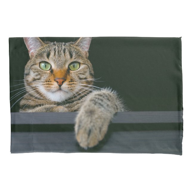 Cutest Baby Animals | Grey Tabby Cat Face Pillowcase (Front)