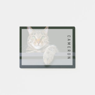 Cutest Baby Animals Grey Tabby Cat Face Post-it Notes