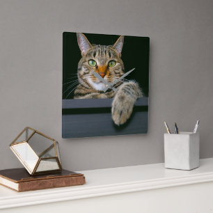Cutest Baby Animals   Grey Tabby Cat Face Square Wall Clock