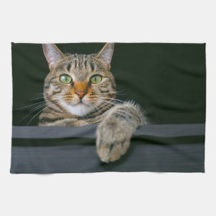 Cutest Baby Animals   Grey Tabby Cat Face Tea Towel