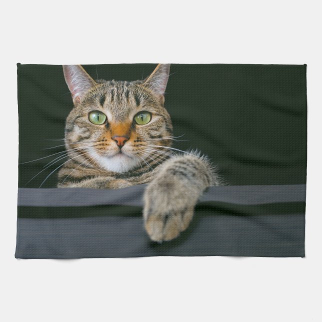 Cutest Baby Animals | Grey Tabby Cat Face Tea Towel (Horizontal)