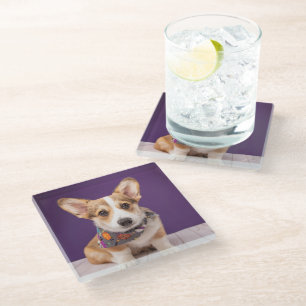 Cutest Baby Animals Halloween Corgi Glass Coaster