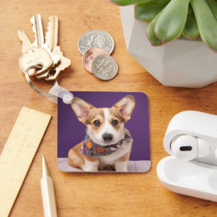 Cutest Baby Animals   Halloween Corgi Key Ring