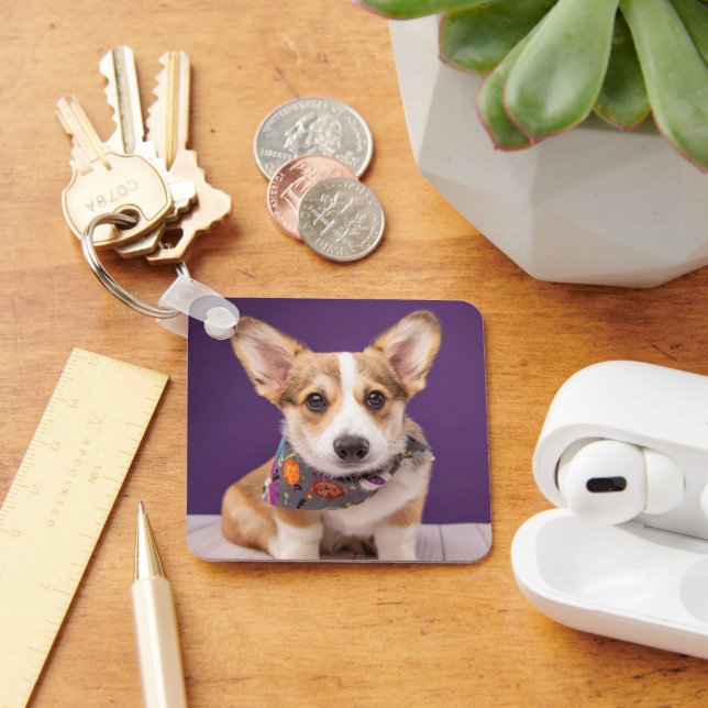 Cutest Baby Animals | Halloween Corgi Key Ring (Desk)