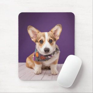 Cutest Baby Animals Halloween Corgi Mouse Mat