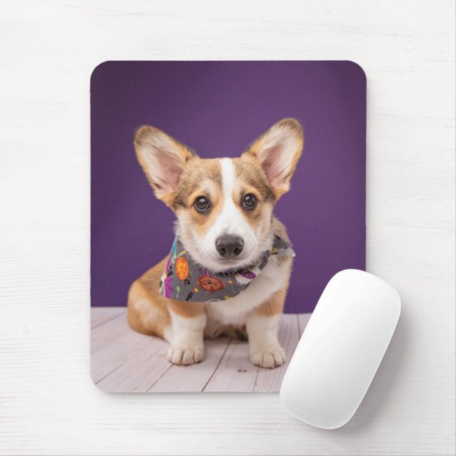 Cutest Baby Animals | Halloween Corgi Mouse Mat (With Mouse)