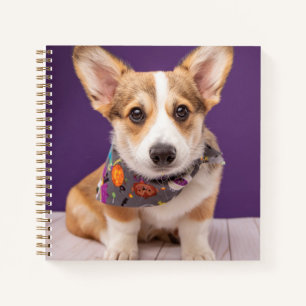 Cutest Baby Animals Halloween Corgi Notebook