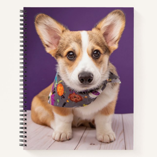 Cutest Baby Animals | Halloween Corgi Notebook (Front)