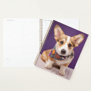 Cutest Baby Animals Halloween Corgi Planner