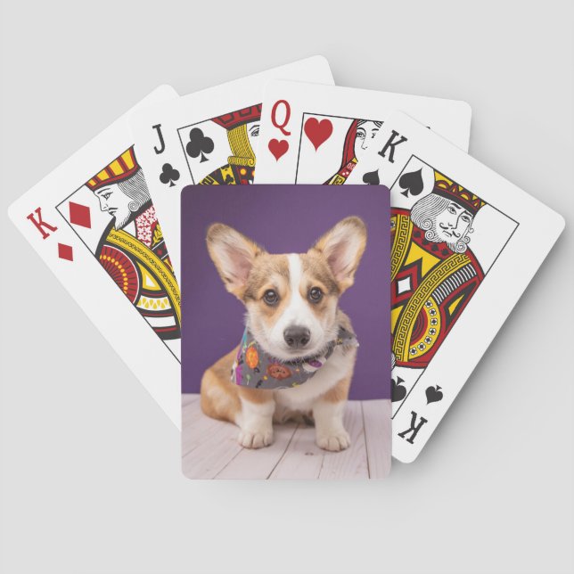 Cutest Baby Animals | Halloween Corgi Playing Cards (Back)