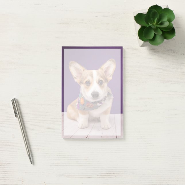 Cutest Baby Animals | Halloween Corgi Post-it Notes (Office)