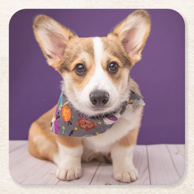 Cutest Baby Animals | Halloween Corgi Square Paper Coaster (Front)
