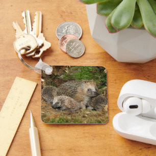 Cutest Baby Animals Hedgehog Family Key Ring