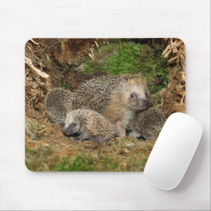 Cutest Baby Animals Hedgehog Family Mouse Mat