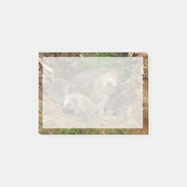 Cutest Baby Animals | Hedgehog Family Post-it Notes (Front)