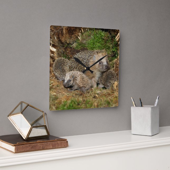 Cutest Baby Animals | Hedgehog Family Square Wall Clock (Office)