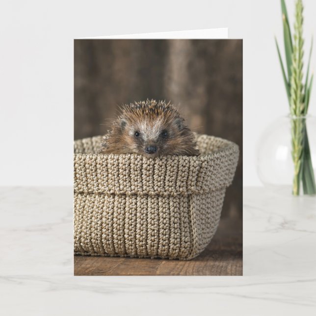 Cutest Baby Animals | Hedgehog in a Basket Card (Front)