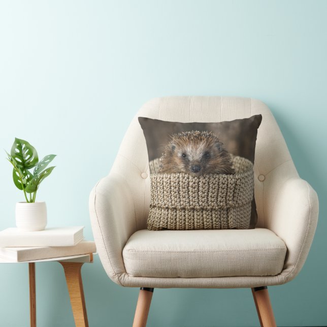 Cutest Baby Animals | Hedgehog in a Basket Cushion (Chair)
