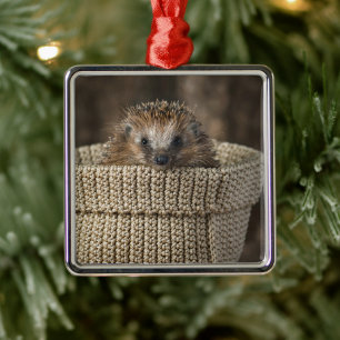 Cutest Baby Animals   Hedgehog in a Basket Metal Tree Decoration