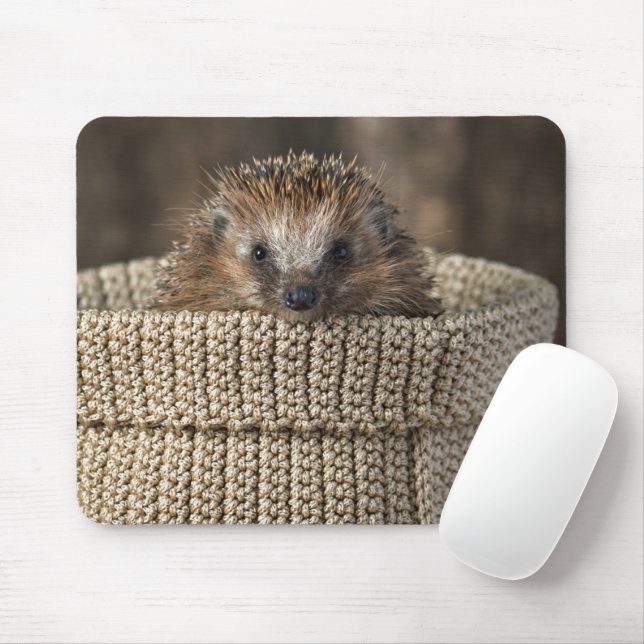 Cutest Baby Animals | Hedgehog in a Basket Mouse Mat (With Mouse)