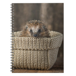 Cutest Baby Animals Hedgehog in a Basket Notebook