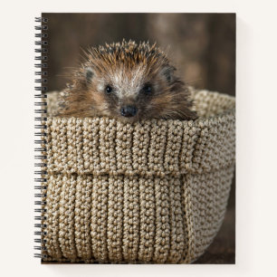 Cutest Baby Animals   Hedgehog in a Basket Notebook
