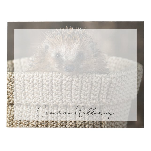 Cutest Baby Animals | Hedgehog in a Basket Notepad (Front)