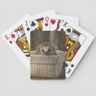 Cutest Baby Animals   Hedgehog in a Basket Playing Cards
