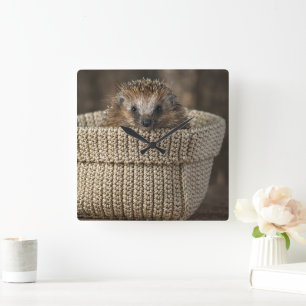 Cutest Baby Animals   Hedgehog in a Basket Square Wall Clock