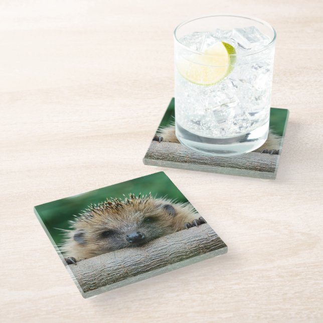 Cutest Baby Animals | Hedgehog Smile Glass Coaster (Angled)