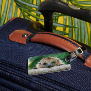 Cutest Baby Animals   Hedgehog Smile Luggage Tag