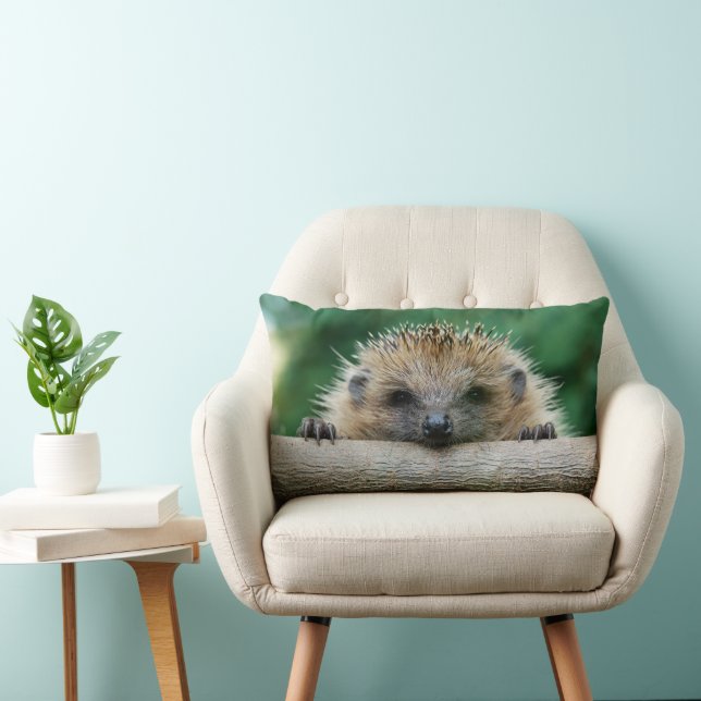 Cutest Baby Animals | Hedgehog Smile Lumbar Cushion (Chair)