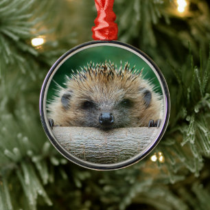 Cutest Baby Animals   Hedgehog Smile Metal Tree Decoration