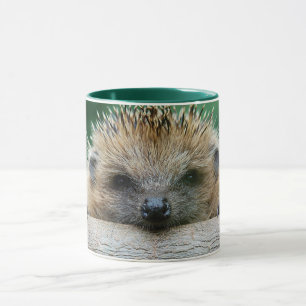 Cutest Baby Animals   Hedgehog Smile Mug