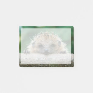 Cutest Baby Animals Hedgehog Smile Post-it Notes