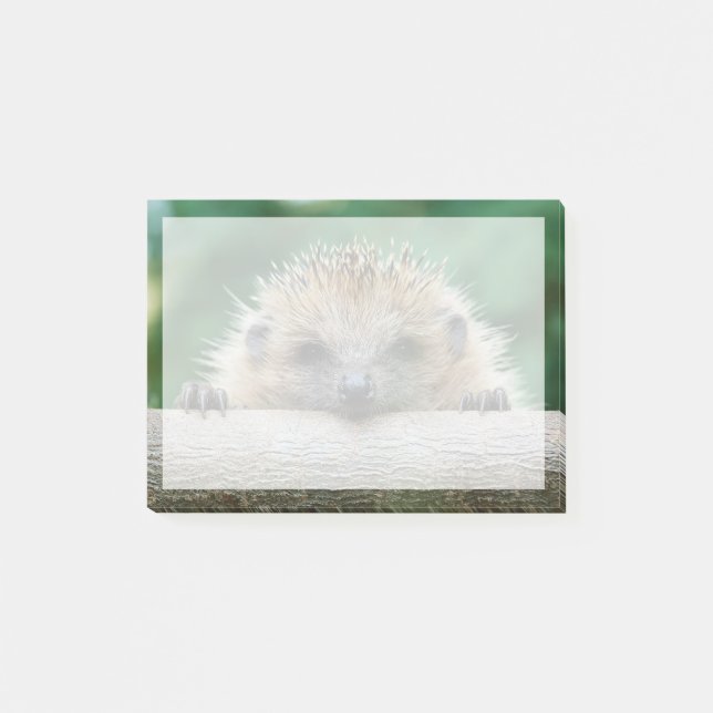 Cutest Baby Animals | Hedgehog Smile Post-it Notes (Front)