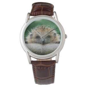 Cutest Baby Animals Hedgehog Smile Watch