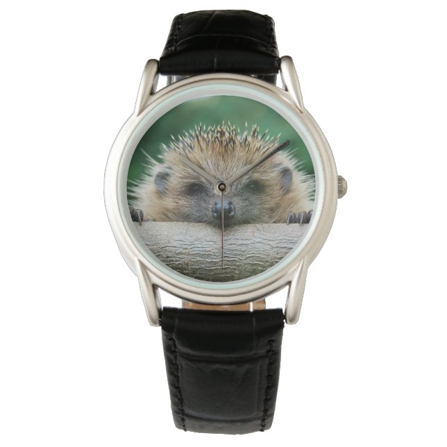 Cutest Baby Animals | Hedgehog Smile Watch (Front)