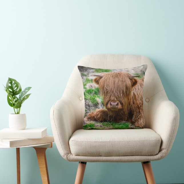 Cutest Baby Animals | Highland Cow Calf Cushion (Chair)