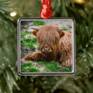Cutest Baby Animals   Highland Cow Calf Metal Tree Decoration
