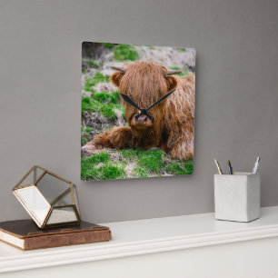 Cutest Baby Animals Highland Cow Calf Square Wall Clock