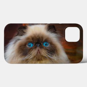 Cutest Baby Animals   Himalayan Cat iPhone 13 Case