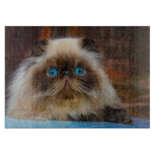 Cutest Baby Animals   Himalayan Cat Cutting Board